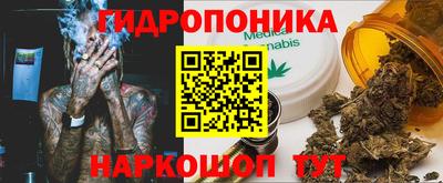 сатива Брянск